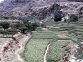 Terrazzamenti di Wadi Gazwa