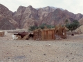 Pastori nel Sinai