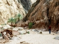 Wadi nel Sinai